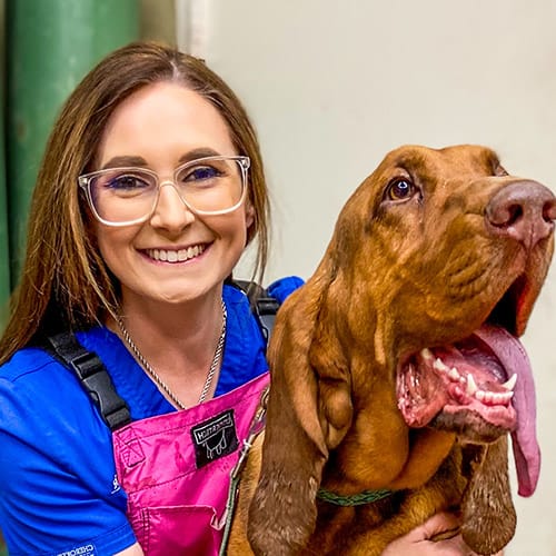 Dr. Codi Spence, San Angelo Veterinarian